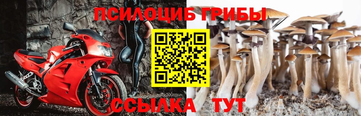 Пушкино  где продают   Вход с VPN  Галлюциногенные грибы прущие грибы 